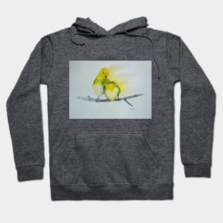 A pair of Silver-eyes, bird art Hoodie